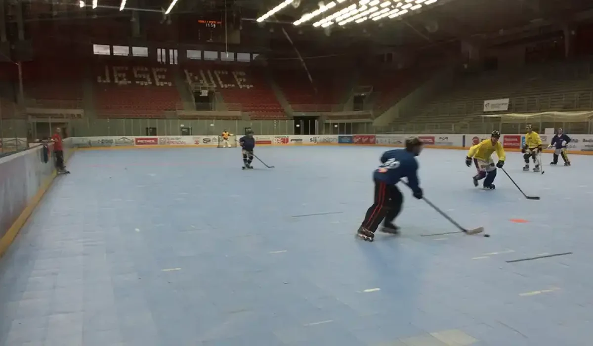 Macedonia-inline-hockey-camp-jesenice-june-2016
